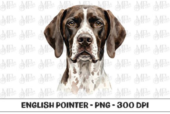 Adorable Watercolor Portrait of an English Pointer Dog: A Versatile Creative Resource