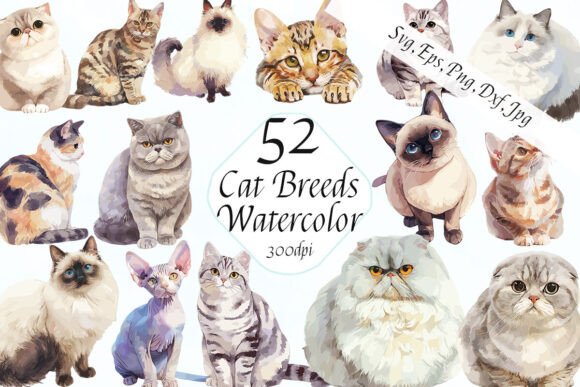 Watercolor Cat Breeds Clipart SVG Bundle: A Practical Creative Asset for Designers and Makers